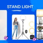 Stand Light